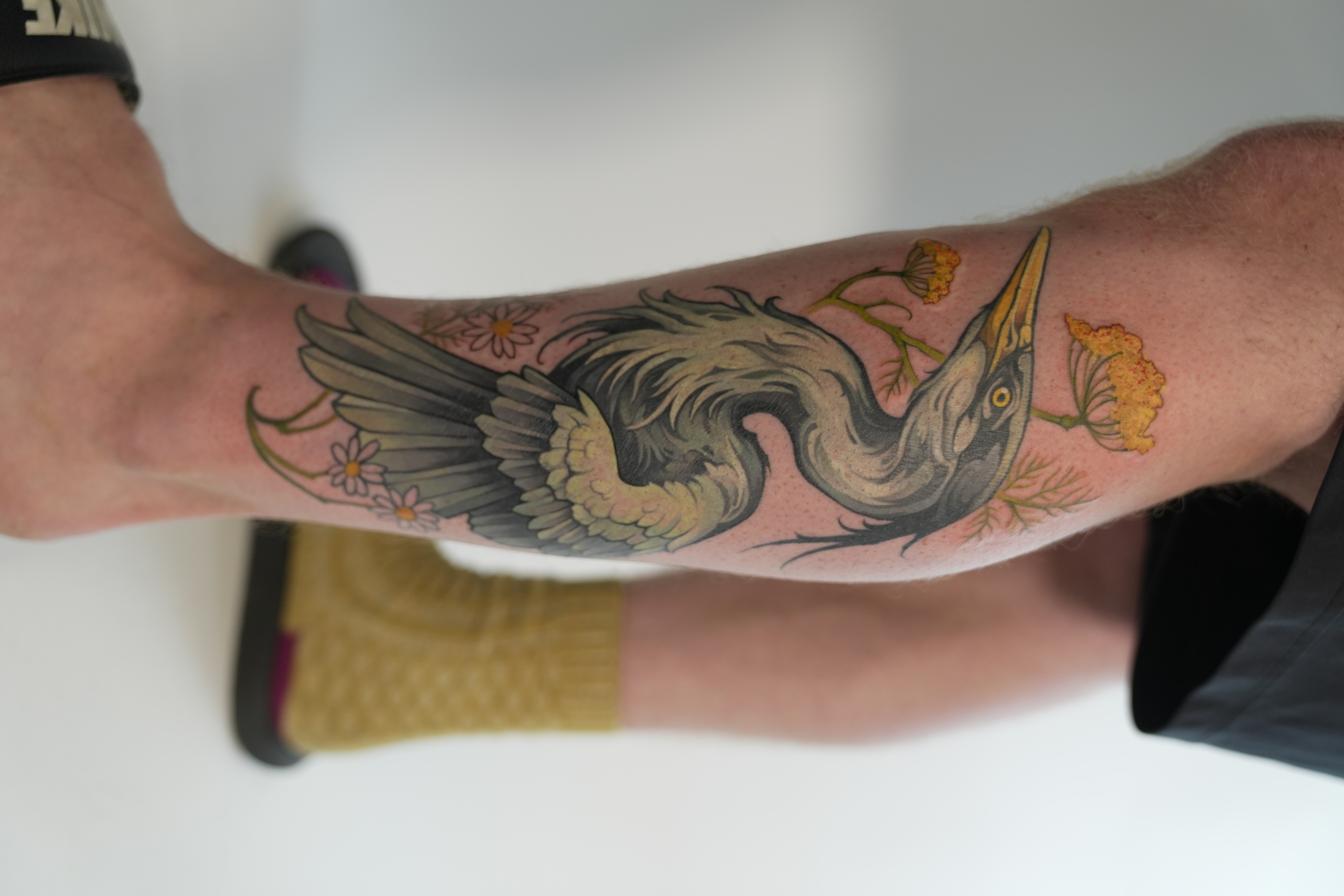 Kade Bowers Tattoo Portfolio